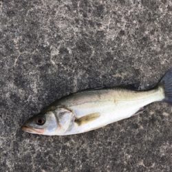 干潮前後で楽しめました