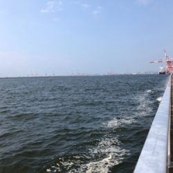 タチウオ調査兼ねての青物