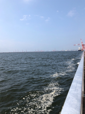 タチウオ調査兼ねての青物