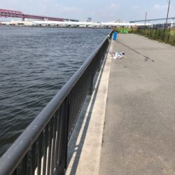 釣り解放区でフカセ釣り