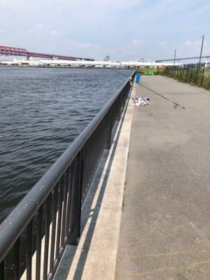 釣り解放区でフカセ釣り