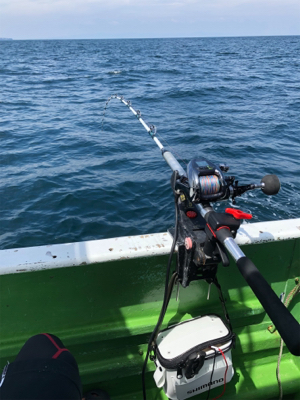 孝洋丸 落とし込み