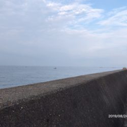 青物ボイル祭り