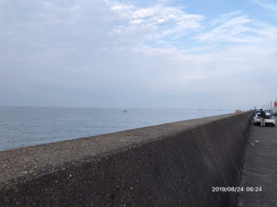 青物ボイル祭り