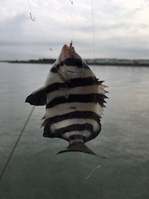 思ってたんと違う…