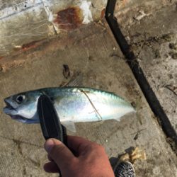 バァーサースタイル？