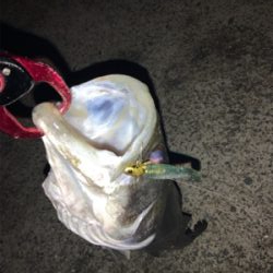 ナイトゲームでもコアマン