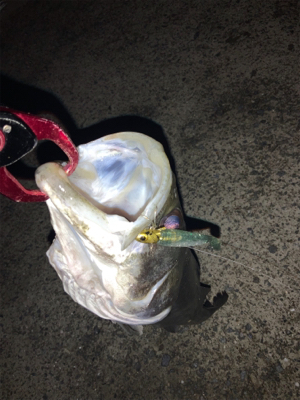 ナイトゲームでもコアマン