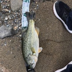 サイトフィッシング