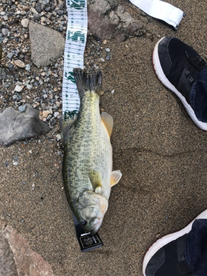 サイトフィッシング