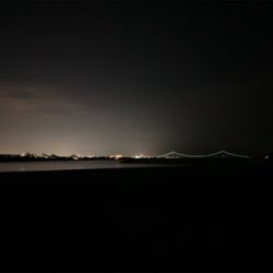 ケンサキイカ⑦