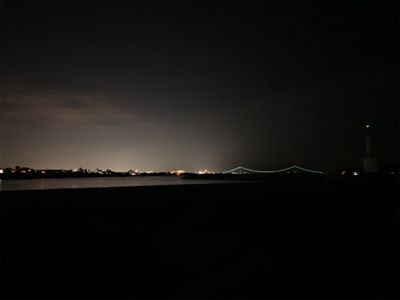 ケンサキイカ⑦