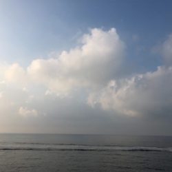 ようやくハマチサイズに♪