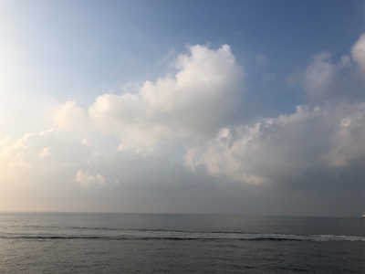 ようやくハマチサイズに♪