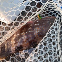 マッチザベイト