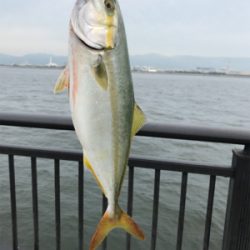 7時頃からお祭りだ〜!