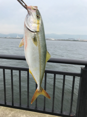 7時頃からお祭りだ〜！