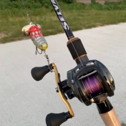 夕方のナマズゲーム