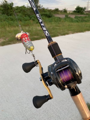 夕方のナマズゲーム