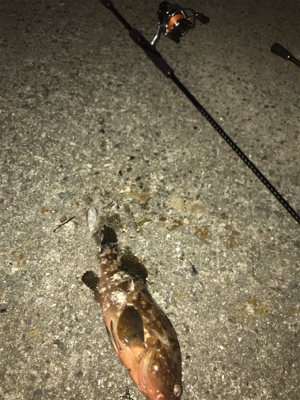 探り探りのライトロック