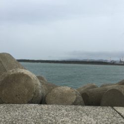 タチウオと青物狙い