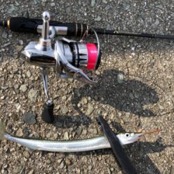 アドバンスメント 56モバイルでサヨリング