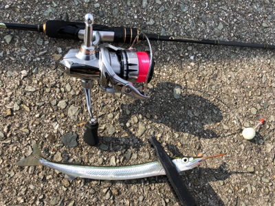 アドバンスメント 56モバイルでサヨリング