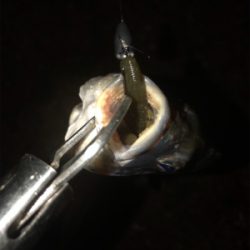 ボトムチニング