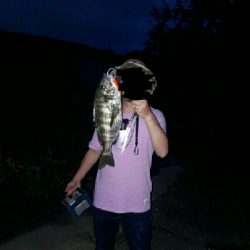 チヌチヌおチヌ