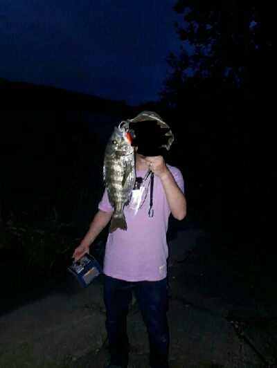 チヌチヌおチヌ