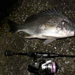 バイク釣行 gsx250r