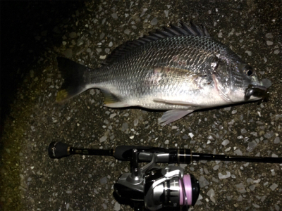 バイク釣行 gsx250r