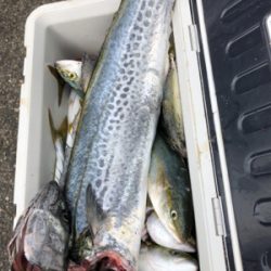 ルアーで初の大爆釣！@沖堤防