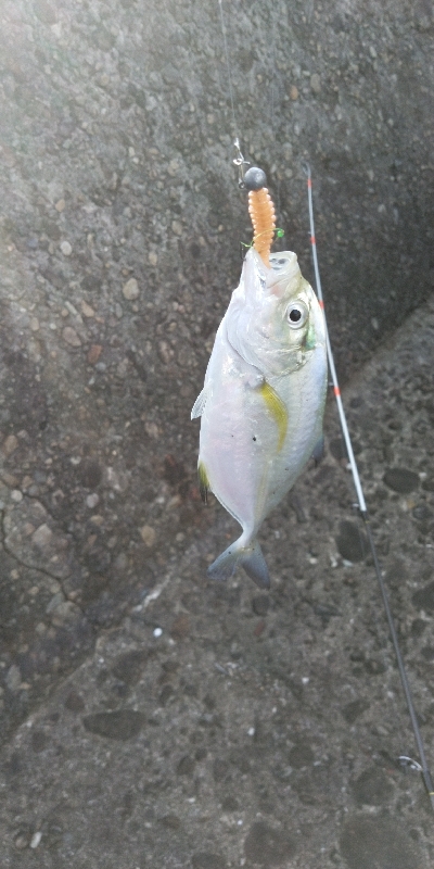 アシストフック