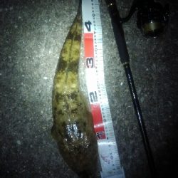 青物あきらめて