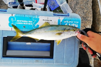 やっぱりツバス