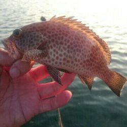 ガンクロゲーム