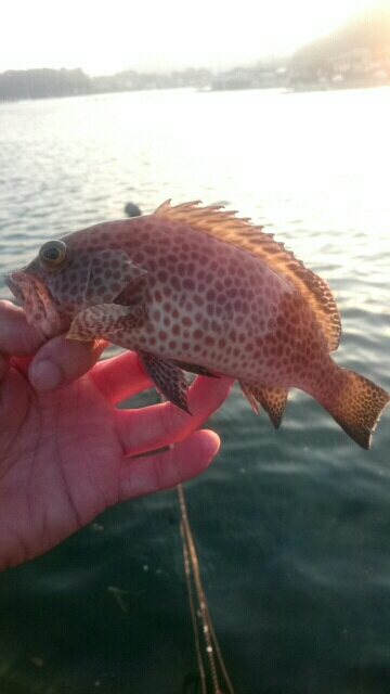 ガンクロゲーム