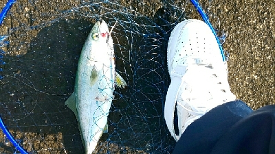 久々の水軒一文字