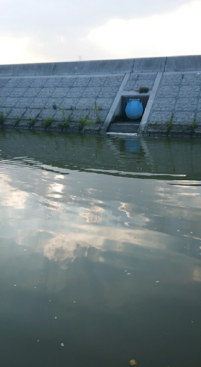 バス釣りのはずが・・・