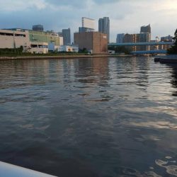 お盆明け初釣果　~潮見さざなみ公園~