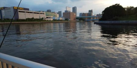 お盆明け初釣果　~潮見さざなみ公園~