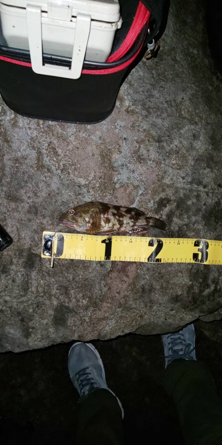 夜釣り　~若洲海浜公園~