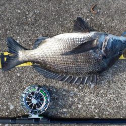 お盆前に　～さざなみ公園～