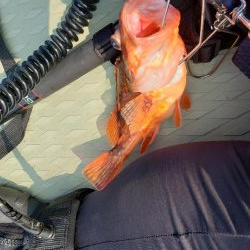 SUPフィッシング