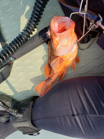 SUPフィッシング