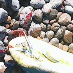 ワンピッチ？ジャカジャカ？