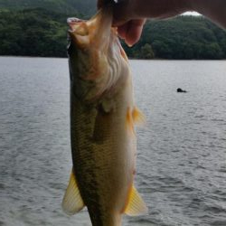 今日も朝６時から大隅湖行ってきました