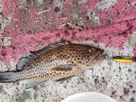 リーサルウェポン改