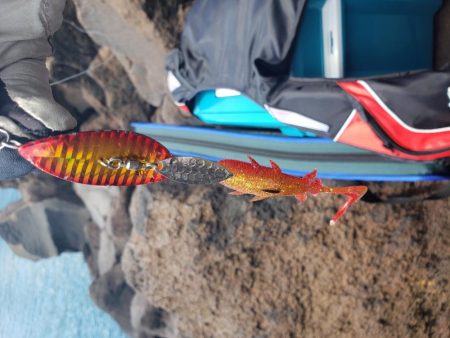 ライトロックゲーム